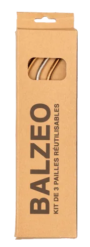 Pailles acier inox