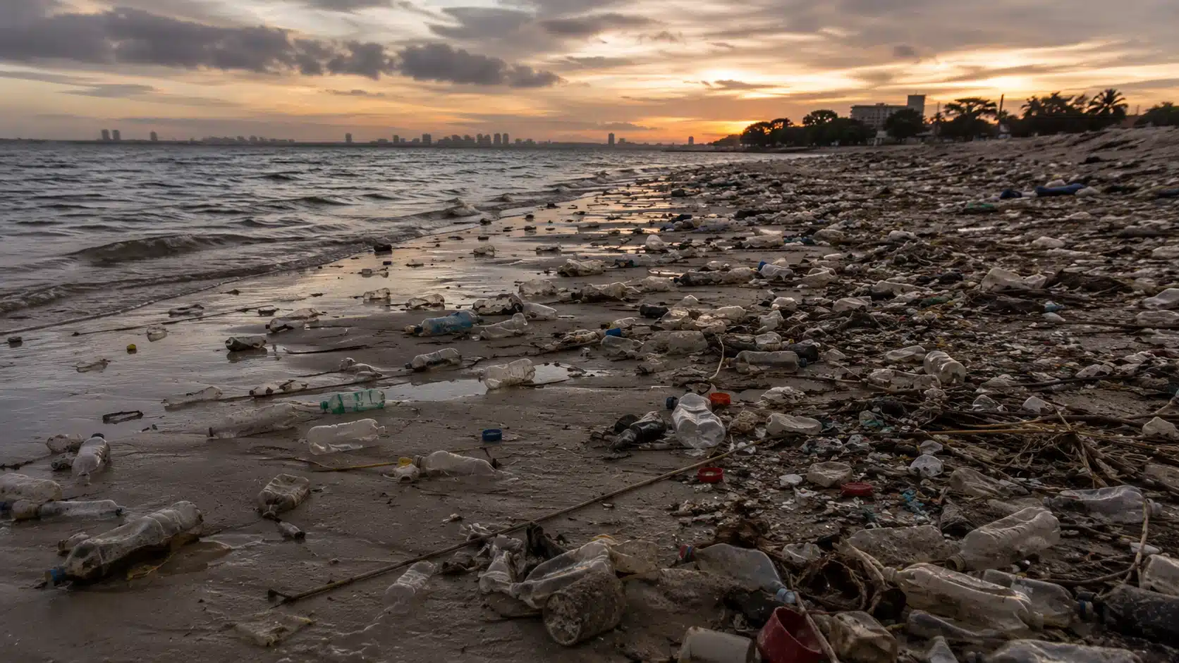 Traité mondial contre le plastique : déchets plastiques échoués sur une plage illustrant l'enjeu des négociations 2026